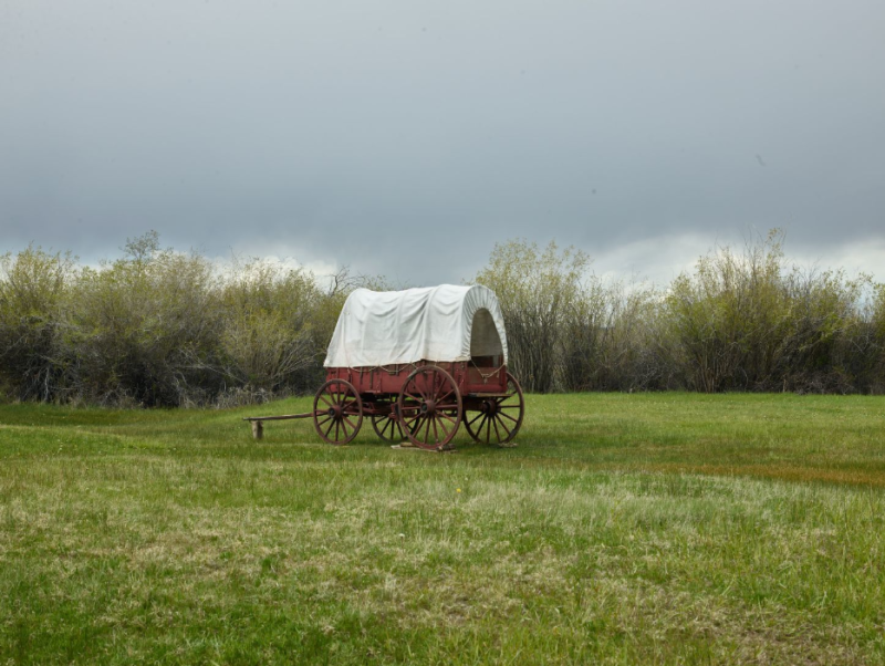 Covered wagon in a field. It is a cloudy day and there are trees in the background. The wagon canopy is white and the carriage is brown.