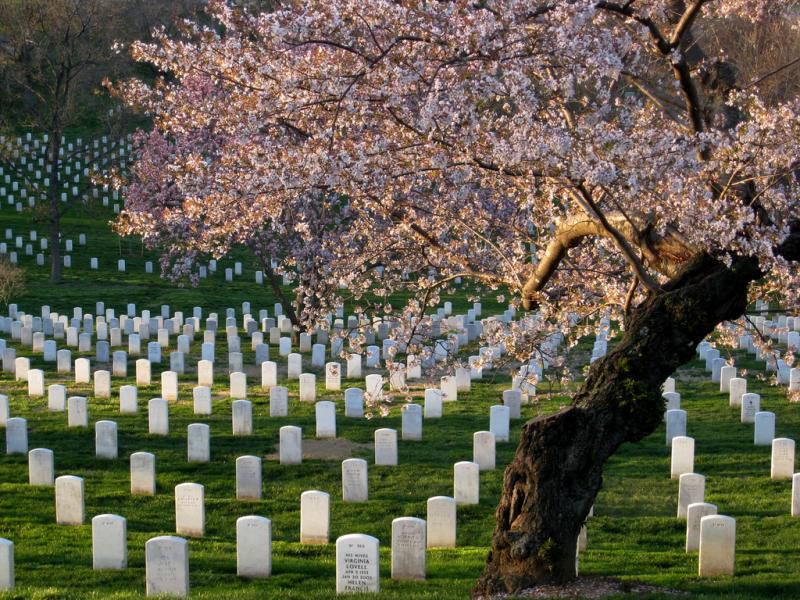 Arlington National Cemetary