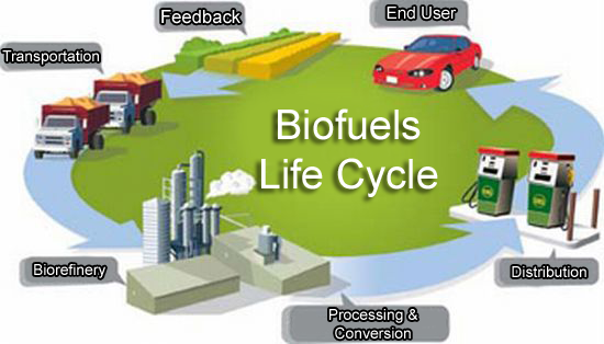 <img typeof="foaf:Image" src="http://statelibrarync.org/learnnc/sites/default/files/images/biofuels_lifecycle.png" width="550" height="314" alt="" />