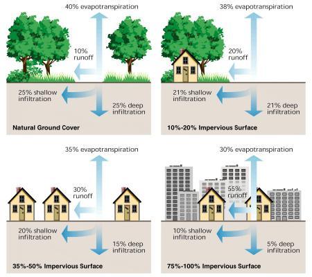 <img typeof="foaf:Image" src="http://statelibrarync.org/learnnc/sites/default/files/images/stream_runoff.jpg" width="450" height="400" alt="Stream runoff diagram" title="Stream runoff diagram" />